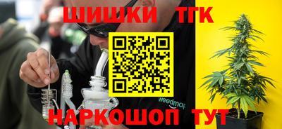 индика Ливны