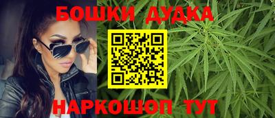 индика Ливны