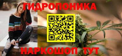 индика Ливны