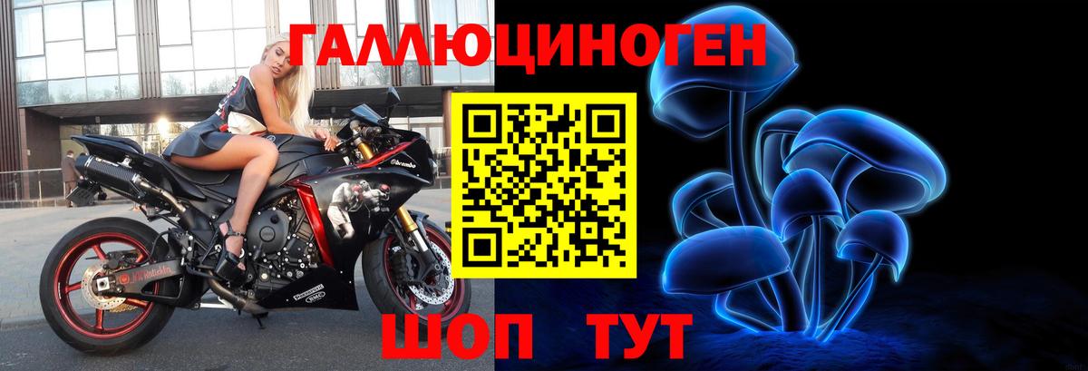 Псилоцибиновые грибы Psilocybine cubensis Шарыпово